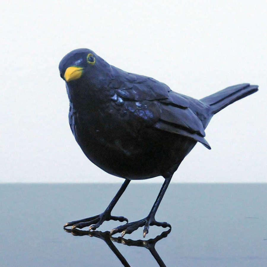 'Blackbird'