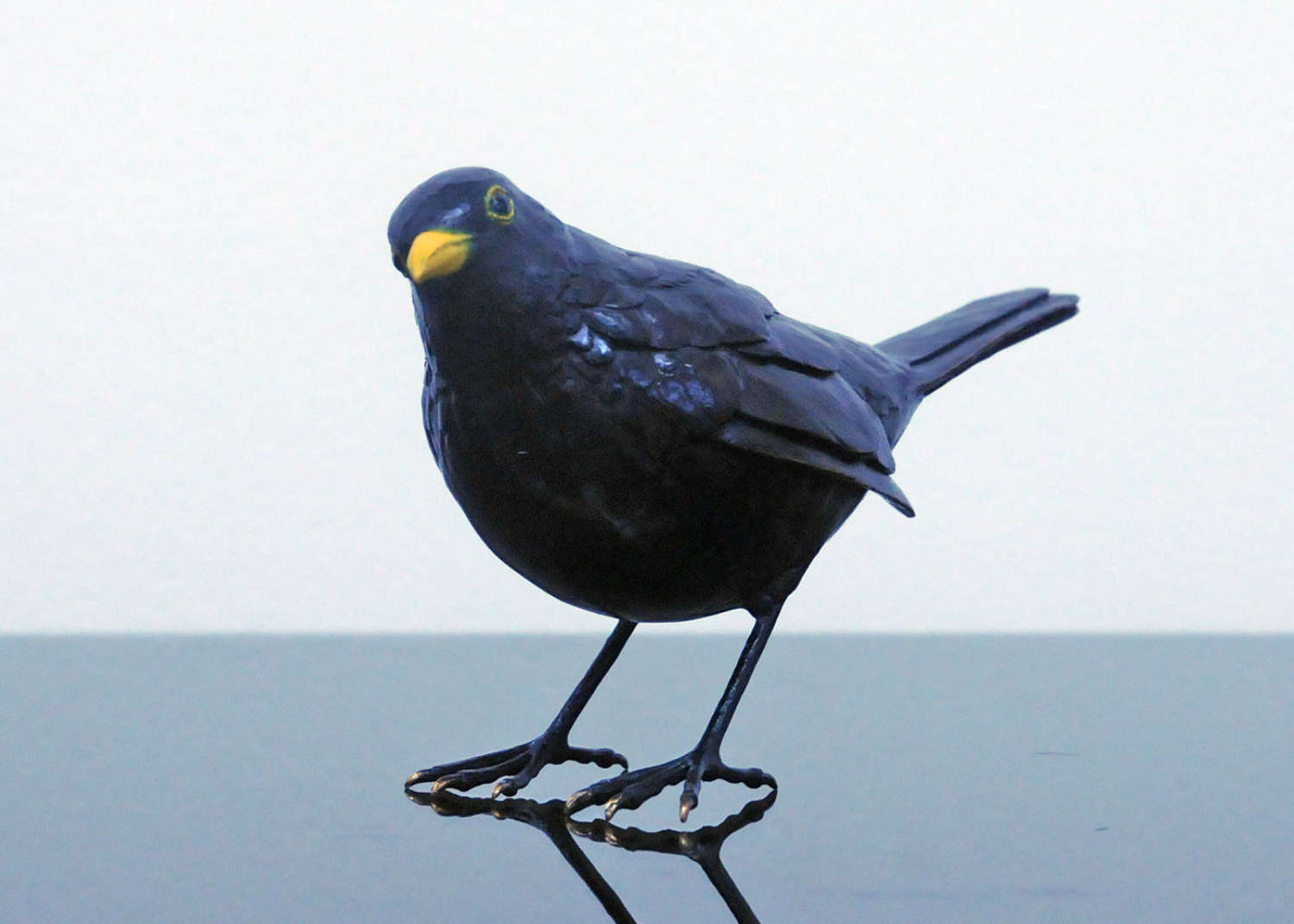 'Blackbird'