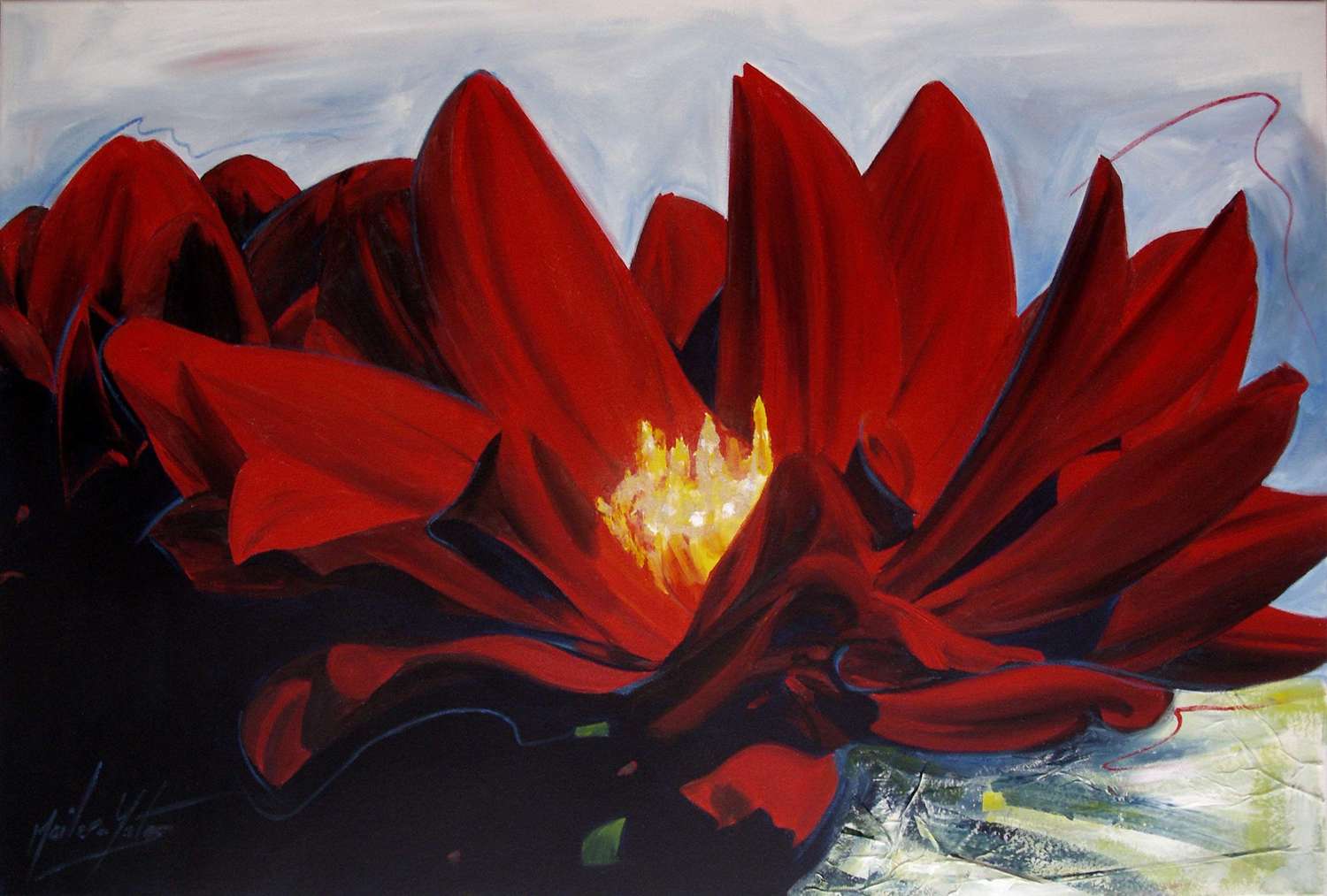'Waterlily' 2007