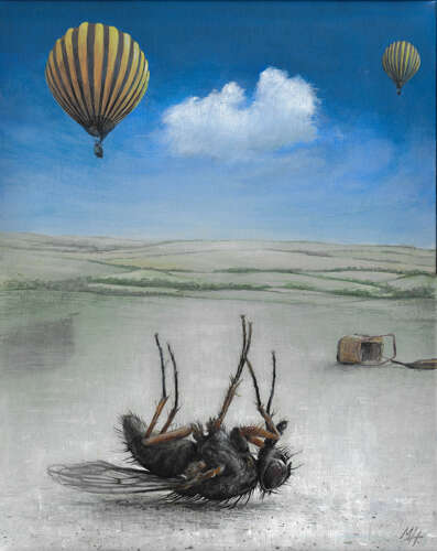 'Dead Fly Zone'